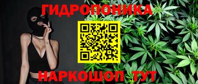 стаф Кунгур