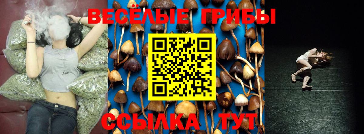 Альфа ПВП Дербент